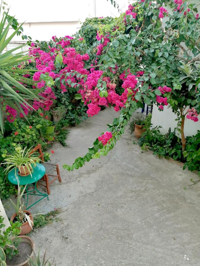 פלקסטרון Katerina Rooms & Studios מראה חיצוני תמונה