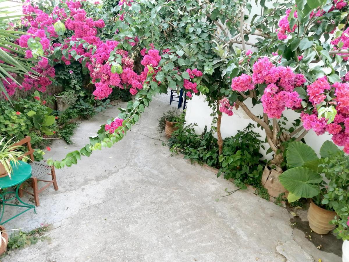 פלקסטרון Katerina Rooms & Studios מראה חיצוני תמונה