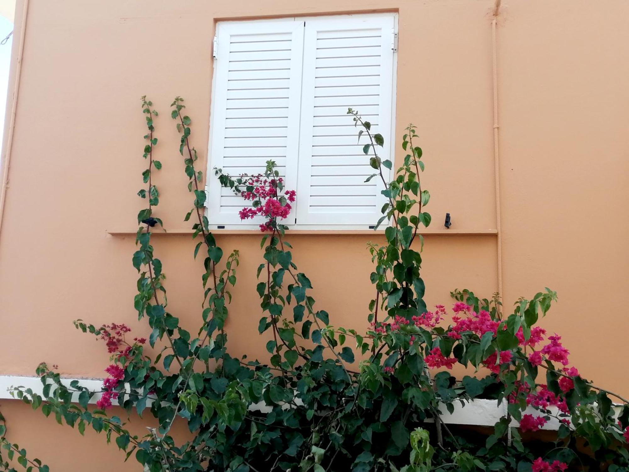 פלקסטרון Katerina Rooms & Studios מראה חיצוני תמונה