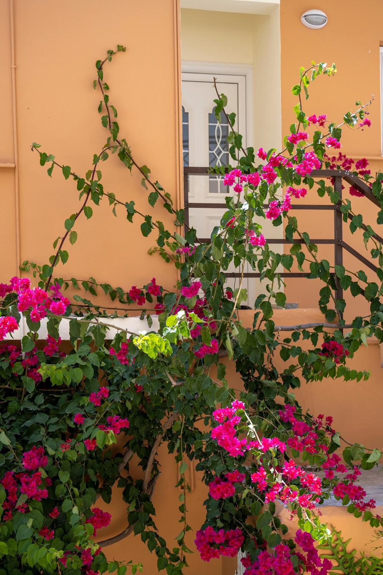 פלקסטרון Katerina Rooms & Studios מראה חיצוני תמונה